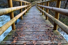 Beautiful Bridge and Fallen Leaves in Dovžanova Soteska, Slovenia