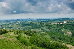 Landscape of Goriska Brda