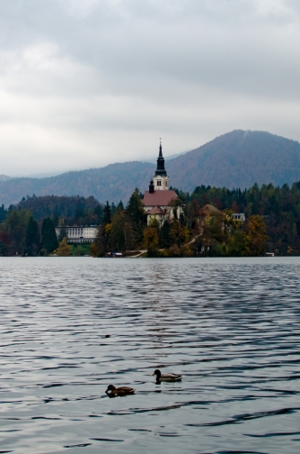 Bled Island on a Cloudy Day